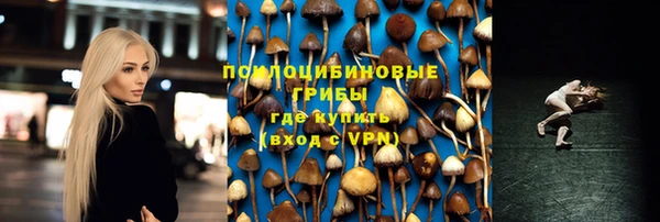 гидропоника Михайловка