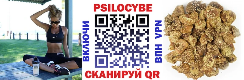 Галлюциногенные грибы MAGIC MUSHROOMS  Мосальск 